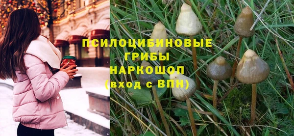 дживик Кукмор