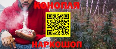spice Донецк