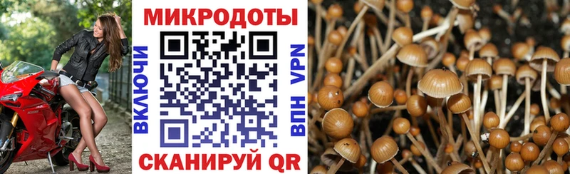 Псилоцибиновые грибы ЛСД  Нурлат 