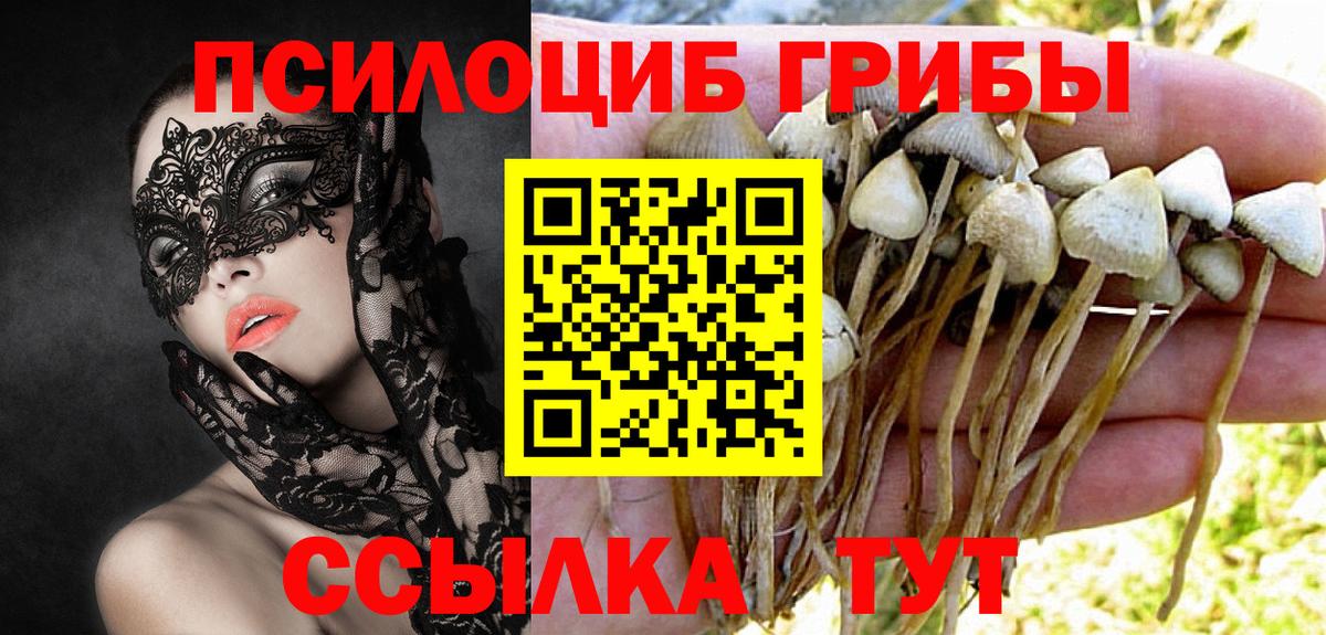 Галлюциногенные грибы ЛСД  купить наркотик  Нурлат 