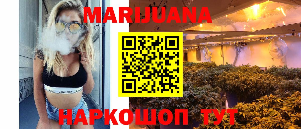 Бошки Шишки гибрид  Канабис White Widow  Канабис конопля  Нурлат 